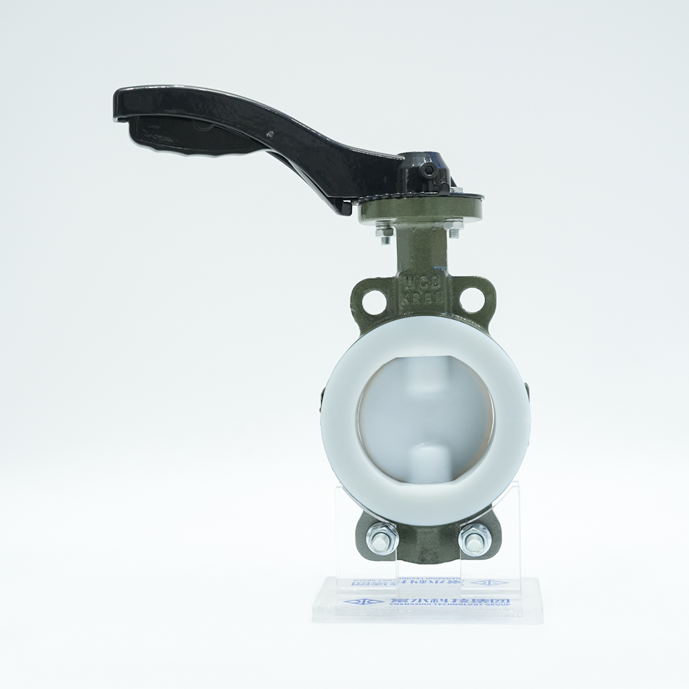 Grupo de tecnología Co., Ltd. de Changshui