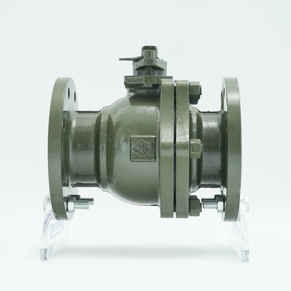 Grupo de tecnología Co., Ltd. de Changshui