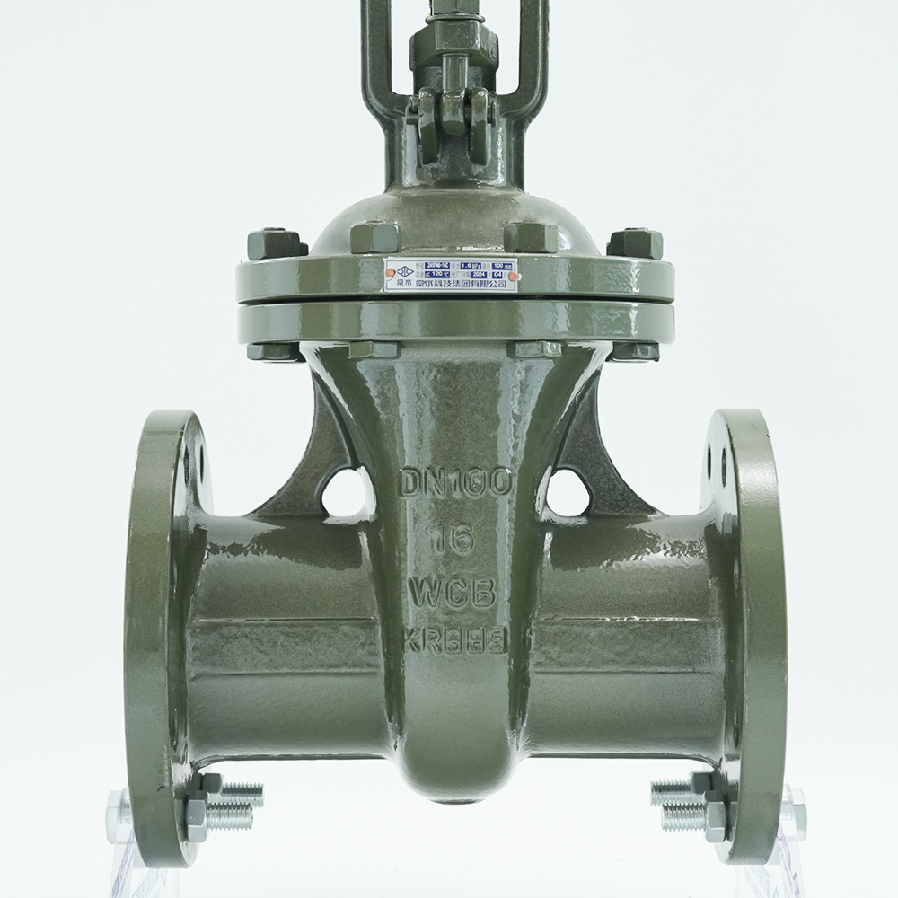 Grupo de tecnología Co., Ltd. de Changshui