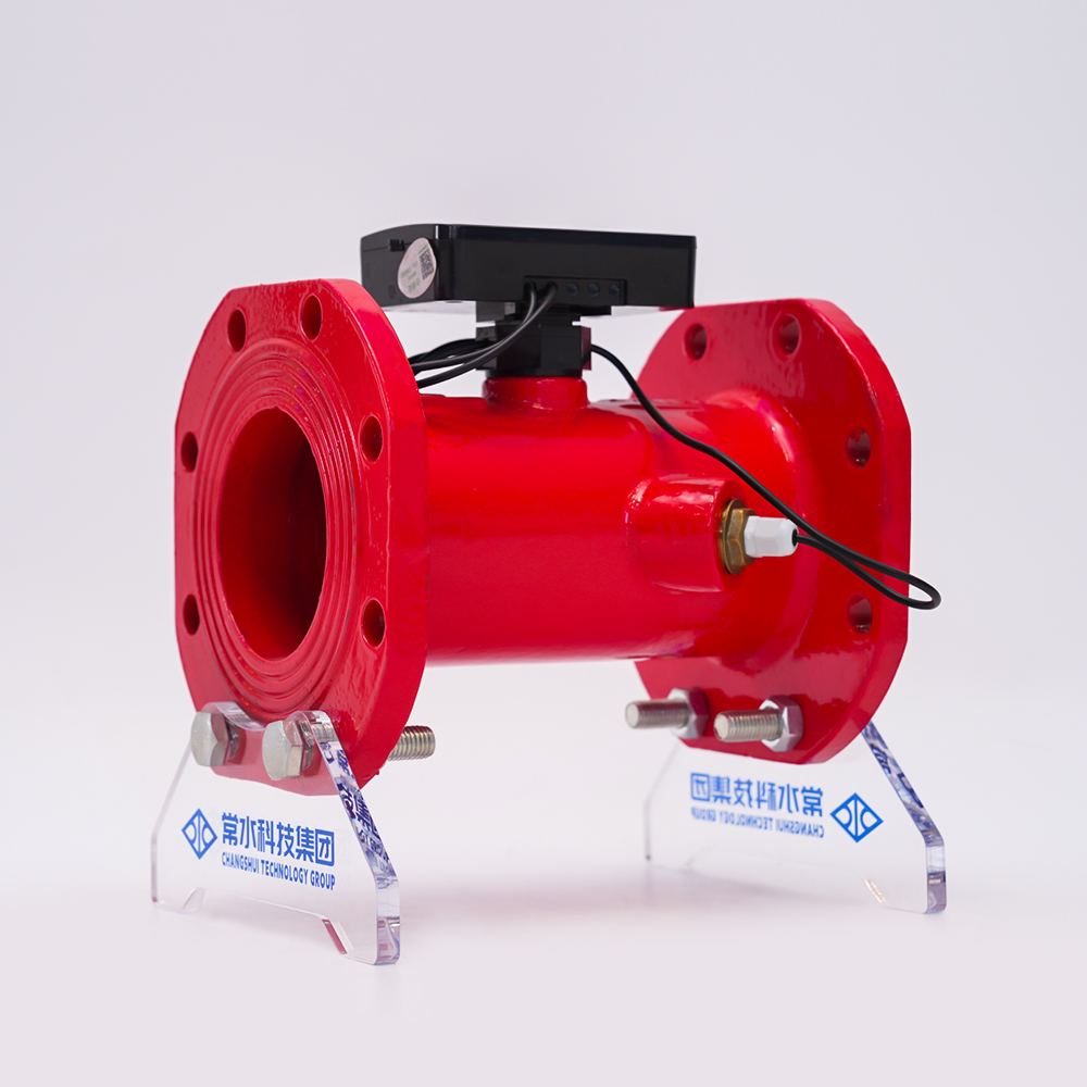 Grupo de tecnología Co., Ltd. de Changshui