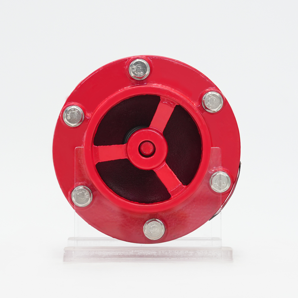 Válvula de retención silenciadora ranurada GHC41X-16Q