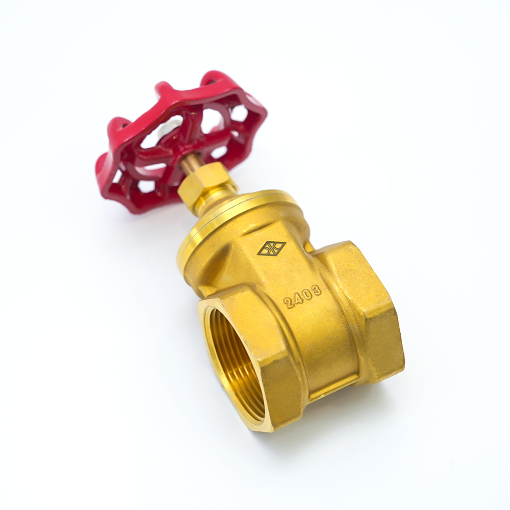 Grupo de tecnología Co., Ltd. de Changshui