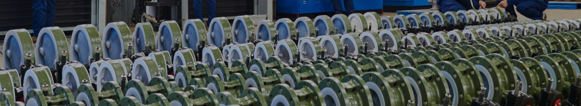 Grupo de tecnología Co., Ltd. de Changshui