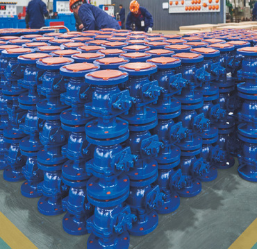 Grupo de tecnología Co., Ltd. de Changshui