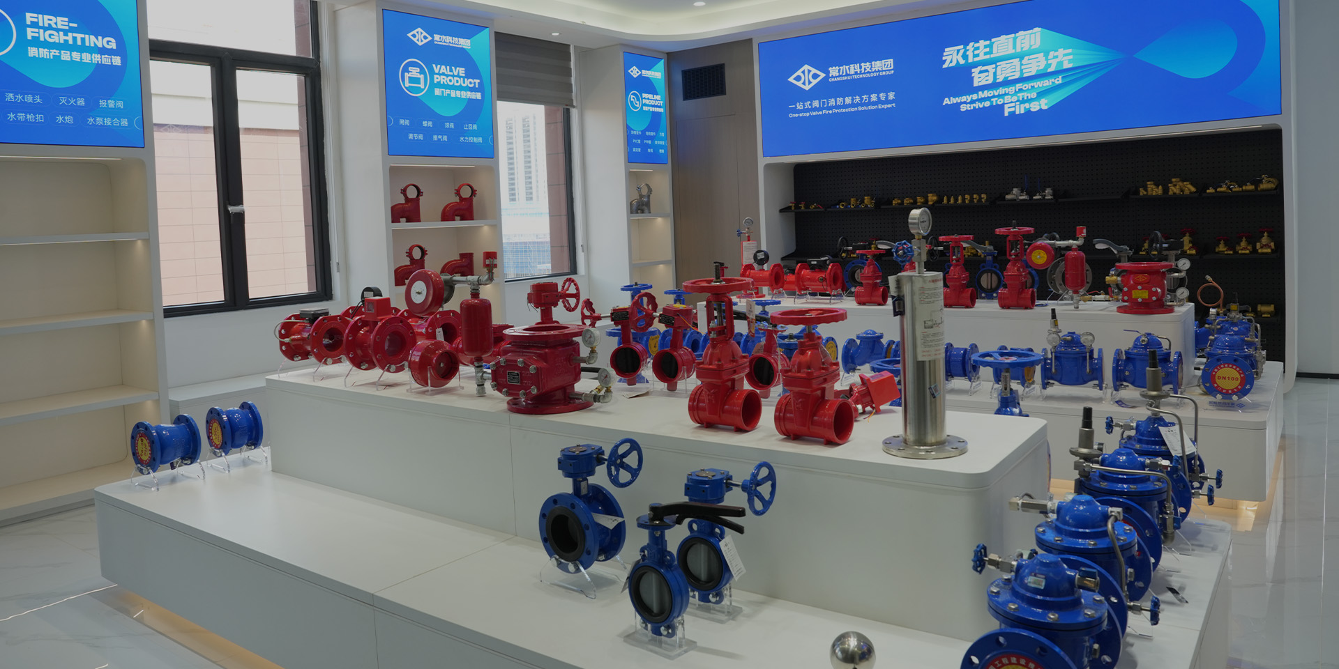 Grupo de tecnología Co., Ltd. de Changshui